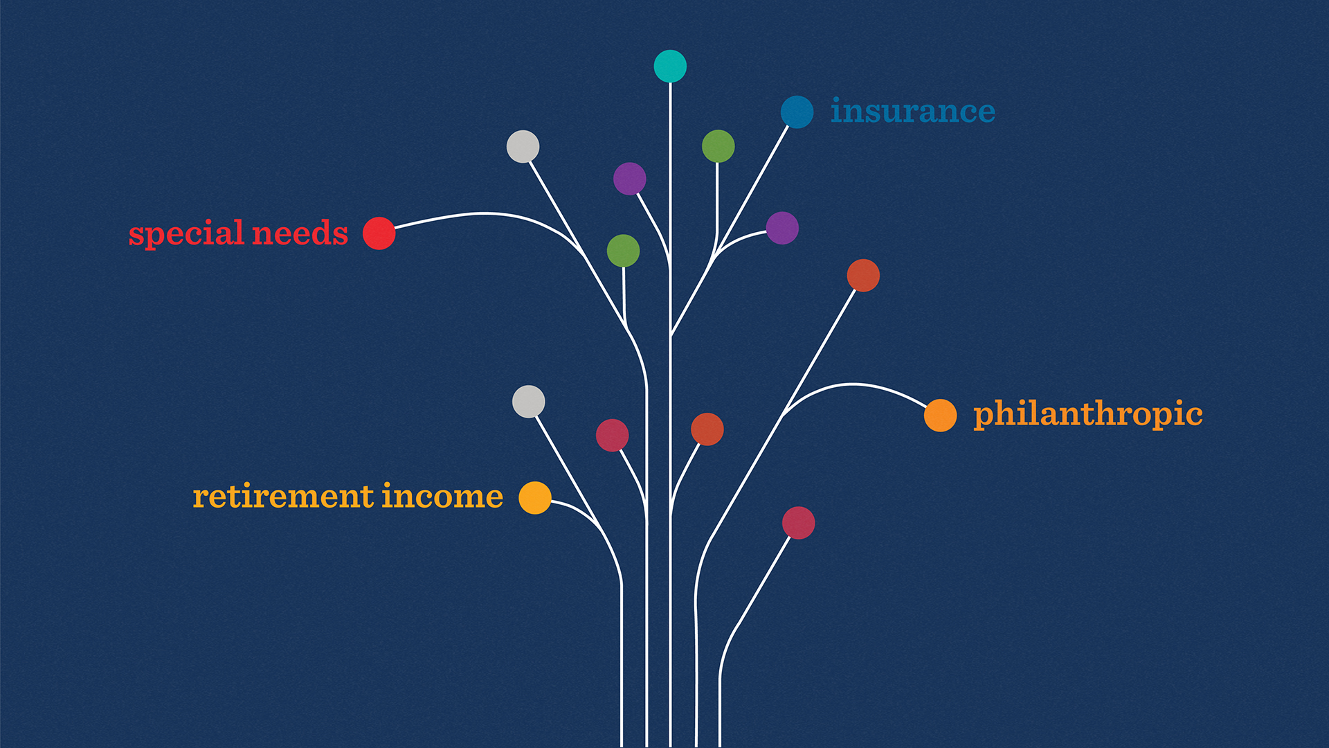 TheAmericanCollege-AnimatedPath-Storyboard